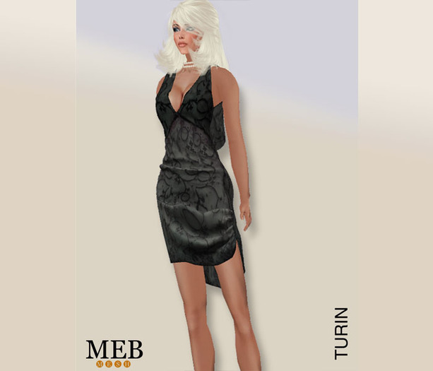 MEB : Turin