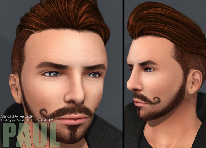 Action Mesh Hair Darmody Thrashed