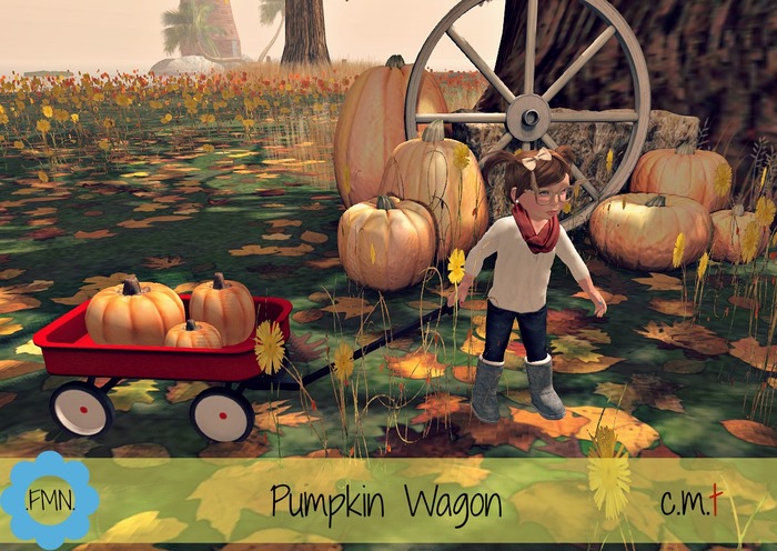 .Forget Me Not. Pumpkin Wagon