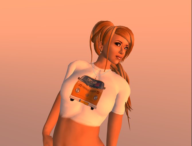 Bulli shirts