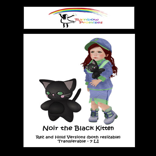 *RP* Noir the Black Kitten