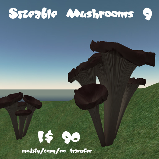 Sizeable Mushrooms 9
