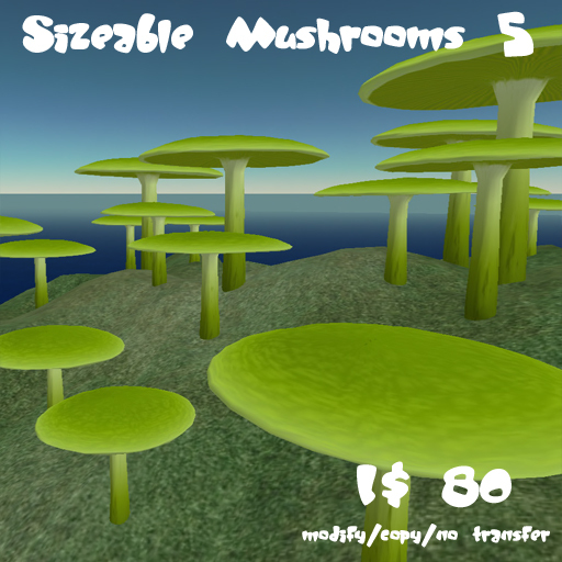 Sizeable Mushrooms 5