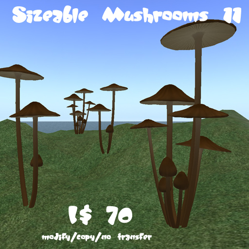 Sizeable Mushrooms 11