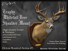 Whitetail Deer Mount
