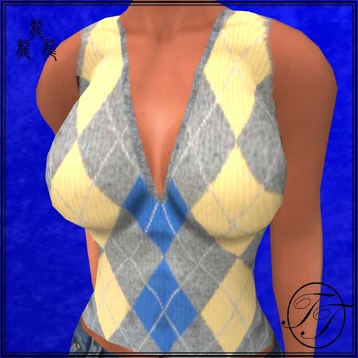 sweater- plaid v-neck