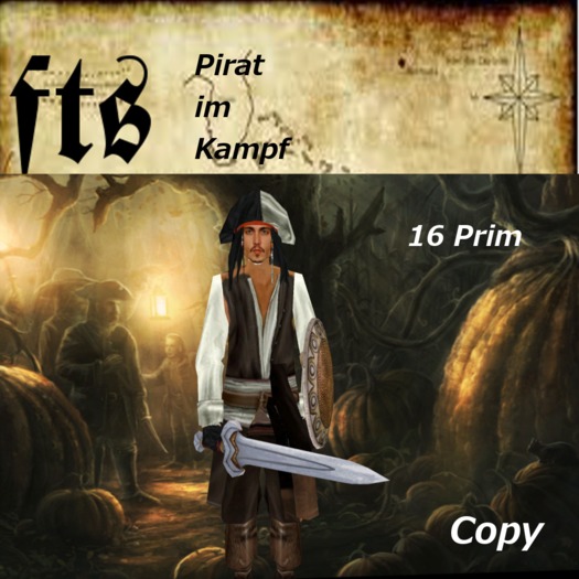 Pirat im Kampf
