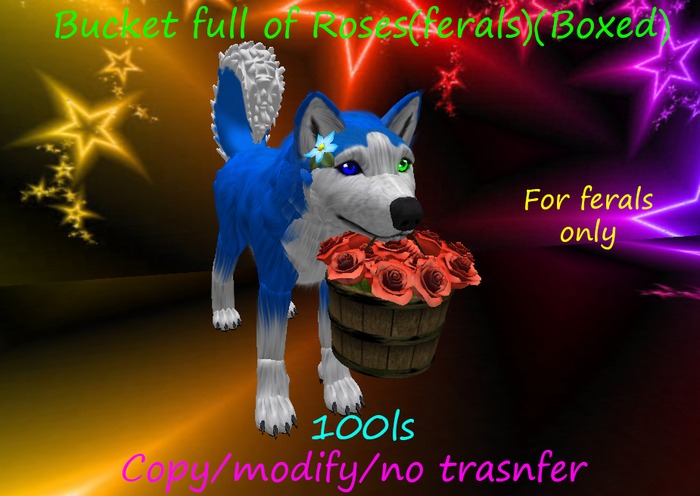 Bucket full of Roses(ferals)(Boxed)