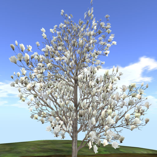 Second Life Marketplace Magnolia 白木蓮 Fullseason