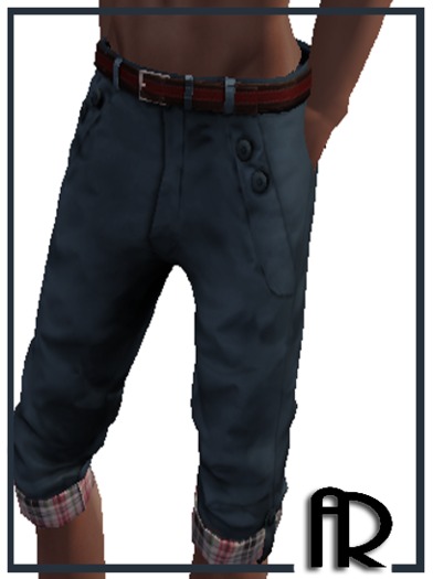[AR] Summer Shorts  Navy