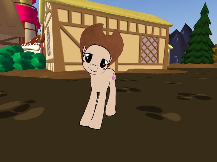 Pony Cowboy Hat Brown