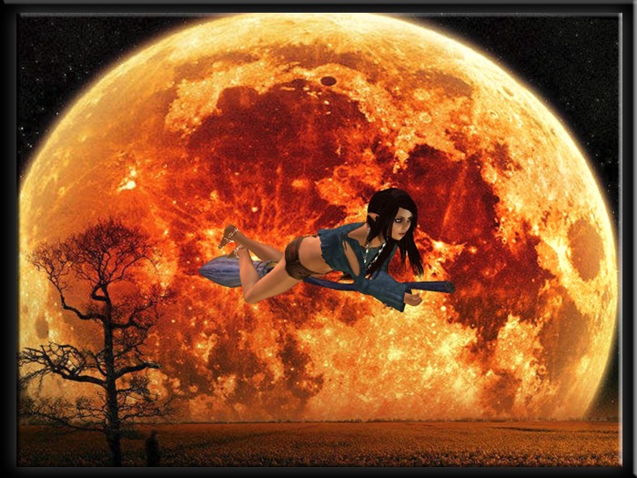 Witch Broom - Straddle Sit