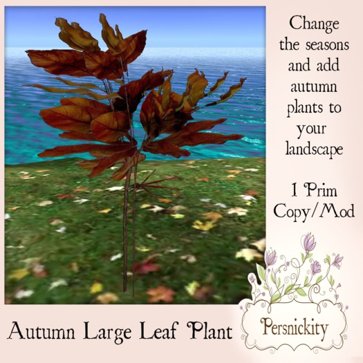 Autumn Large Leaf Plant