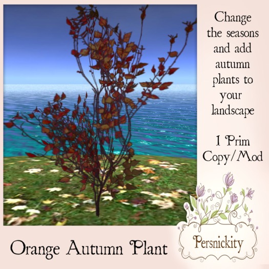 Autumn Large Leaf Plant