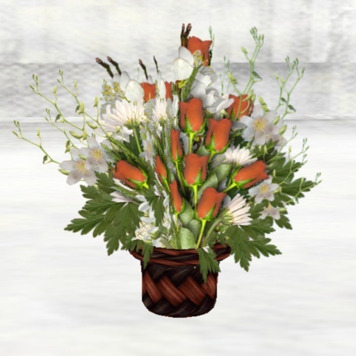 Saucy's  Brownish  Orange Roses