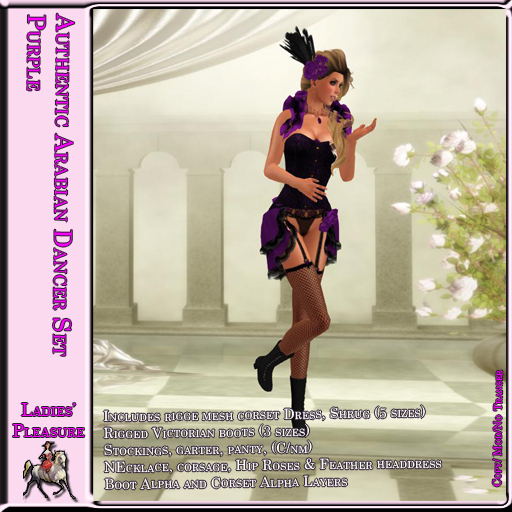 ~LP~Authentic Arabian Dancer Set (Boxed) Purple