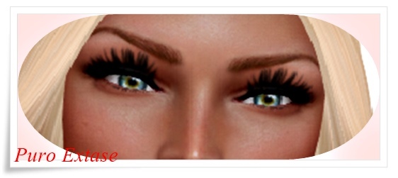 Puro Extase Makeups 11