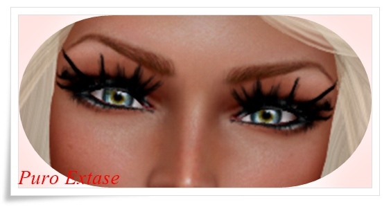 make up eyelash black