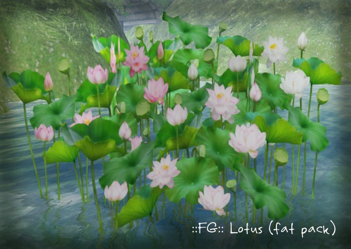 ::FG:: lotus (white) copy