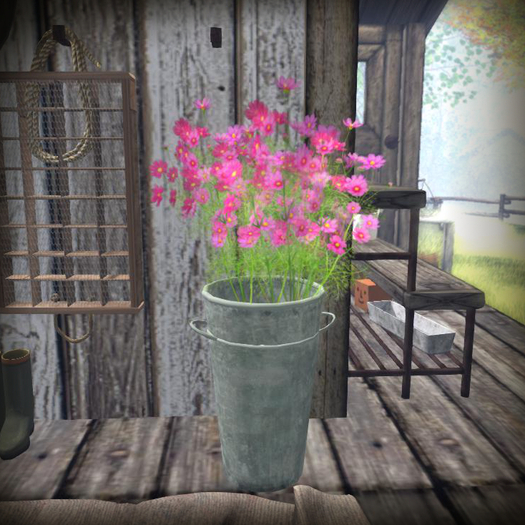 ::FG::"deep pink cosmos" bucket