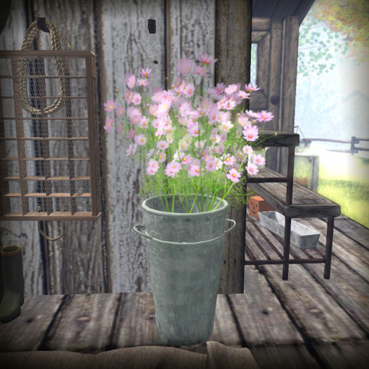 ::FG::"white cosmos" bucket