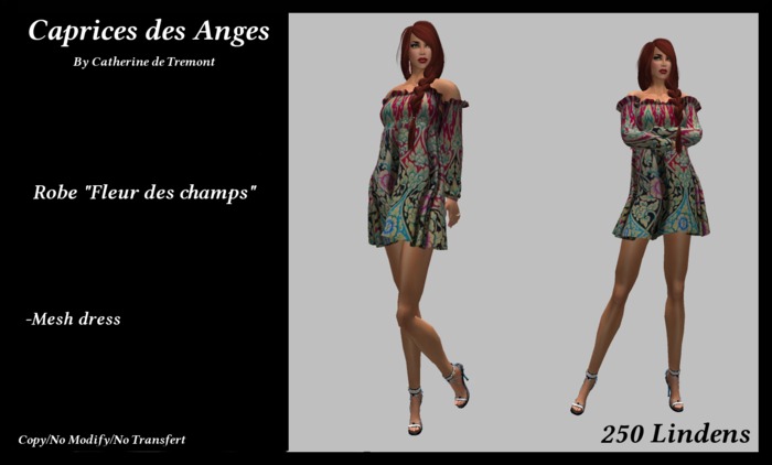 *CdT* Robe "Fleur des champs"