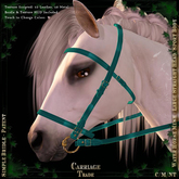 @CT@ Simple Bridle WHM-L BOXED 