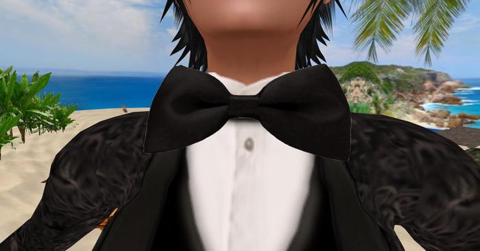 gravata borboleta preta