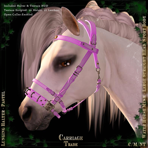 @CT@ Lunging Headstall WHML BOXED Pastels
