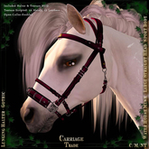 @CT@ Lunging Headstall WHML BOXED Gothic