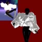 *The Seer* Fur Jacket with long sleeves (box)