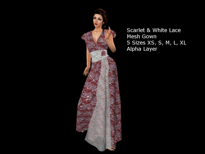Scarlet & White Lace Mesh Gown