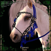 @CT@ Celtic Bridle WHM-L