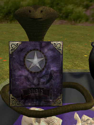 *HMC* Cobra holding spell book