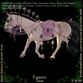@CT@ Royal Tibetan Tack Set Pale