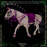 @CT@ Royal Tibetan Tack Set Dark