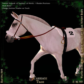 @CT@ Racing Set WHM-L