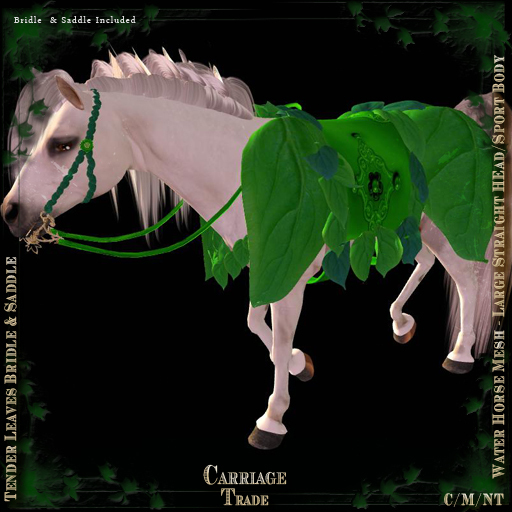 @CT@ Tender Leaves Set WHM-L BOXED