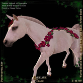 @CT Pointsettia  Garland Set WHM-L