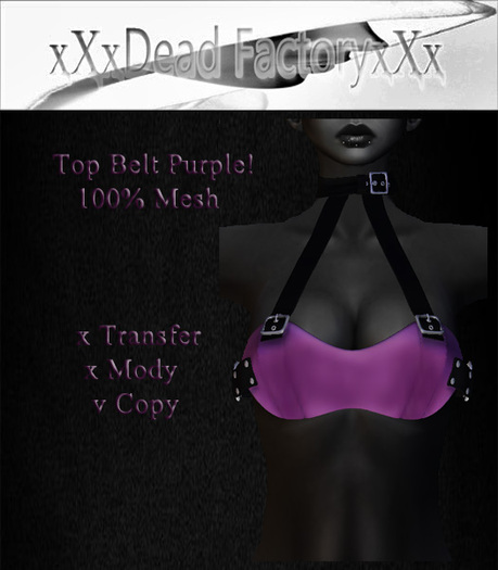 Dead Factory Top Belt Purple Box