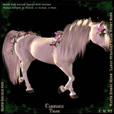 @CT@ Slipper Orchids Garland Set WHM-L