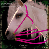 @CT@ Simple Bridle WHM-L BOXED 