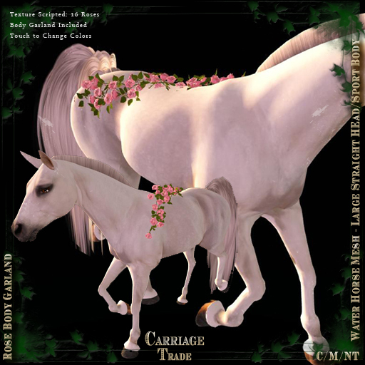 @CT@ Slipper Orchids Garland Set WHM-L