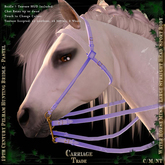 @CT@ Simple Bridle WHM-L BOXED 
