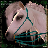 @CT@ Simple Bridle WHM-L BOXED 