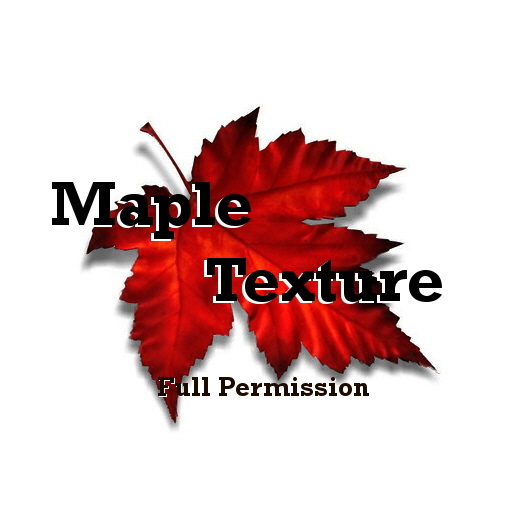 Maple Box