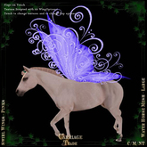 @CT@ Swirl Wings WHM-L BOXED