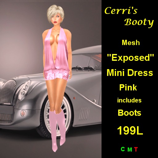 Cerri's "Exposed" MESH Mini Dress Pink