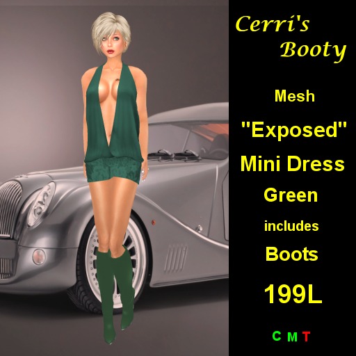 Cerri's "Exposed" Mini DressPink