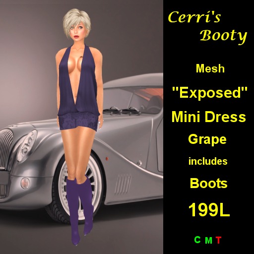 Cerri's "Exposed" Mini DressPink
